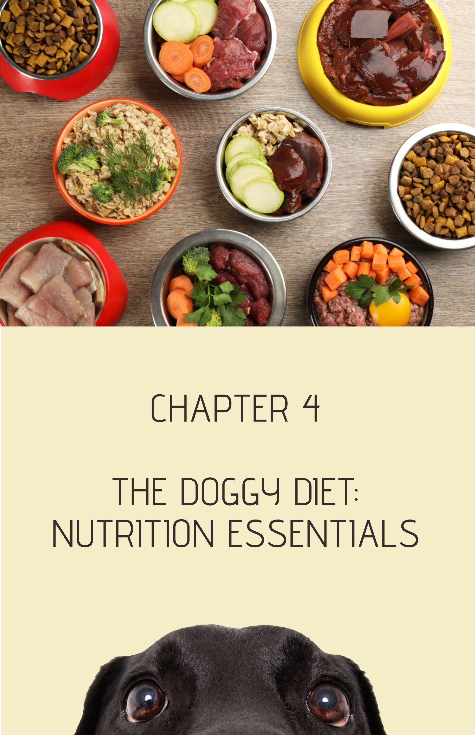 Chapter 4
