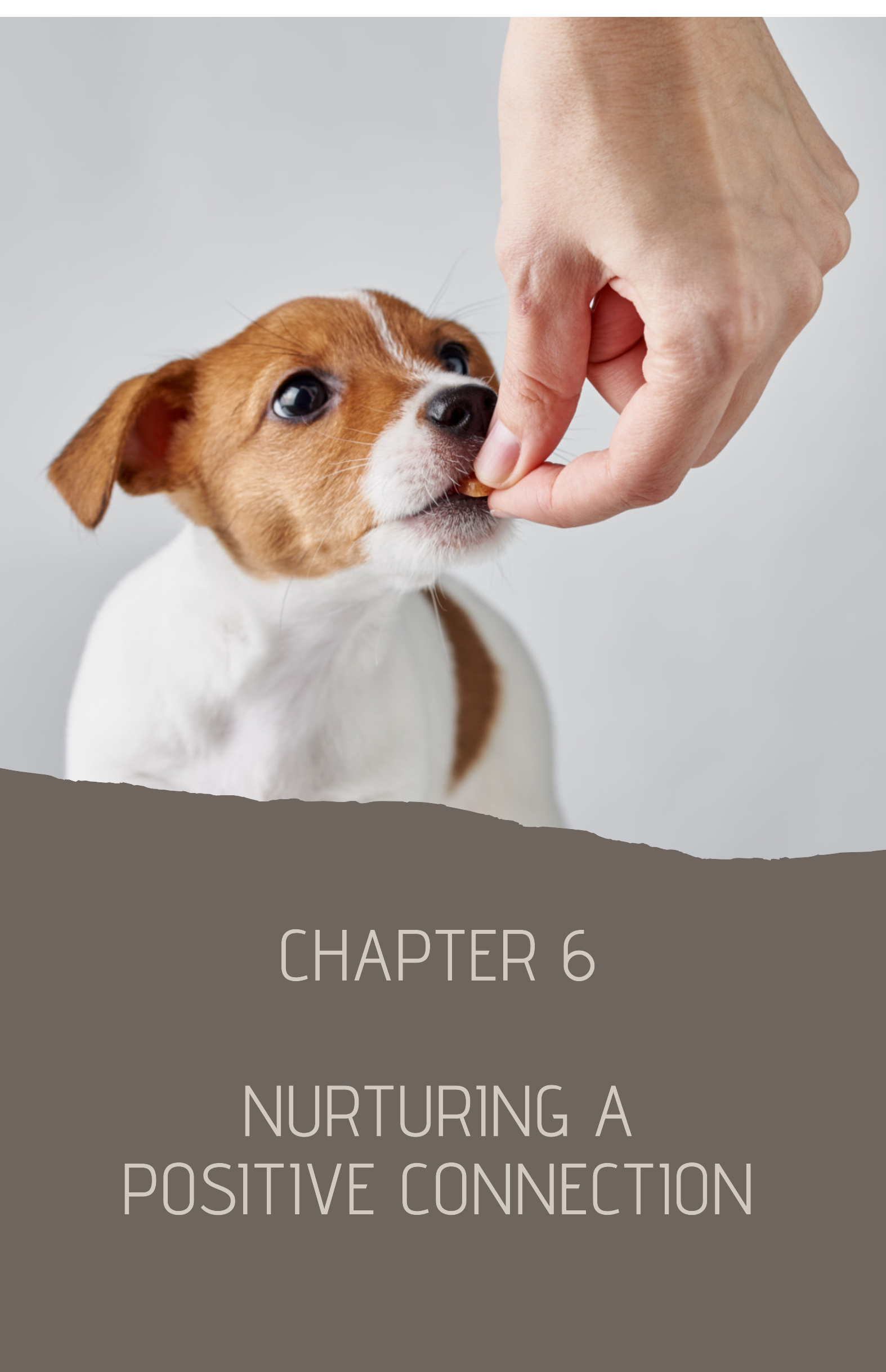 Chapter 6